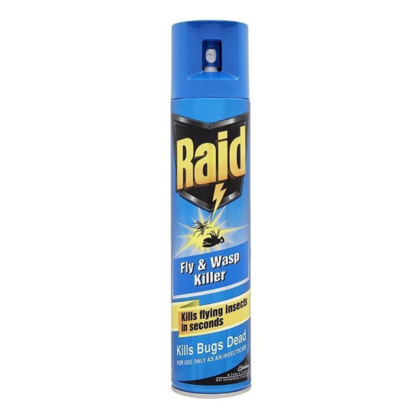 Raid Fly & Wasp Killer Spray 300ml