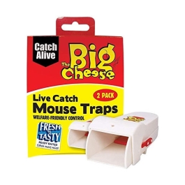 STV Big Cheese Mouse Trap - Live Catch - 2 Pack